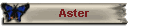 Aster