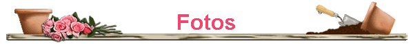 Fotos