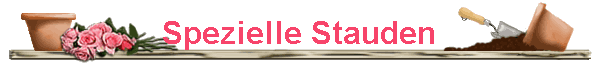 Spezielle Stauden