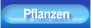 Pflanzen