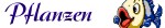 Pflanzen